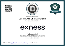 A Comprehensive Guide to www exness com demo account
