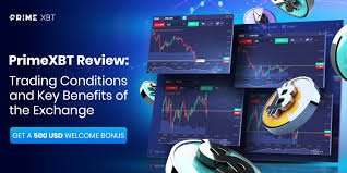 Unlocking Profit Potential A Deep Dive into the PrimeXBT Trading Platform Unlocking Profit Potential A Deep Dive into the PrimeXBT Trading Platform